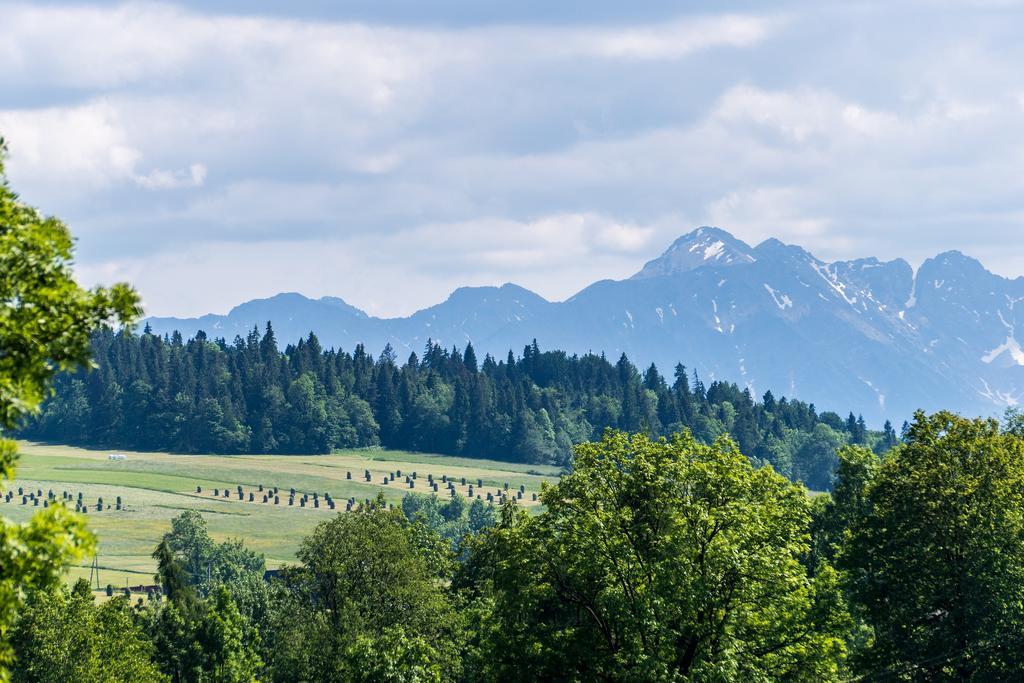 Chata Na Brzysku Pod Bialka Leśnica Buitenkant foto