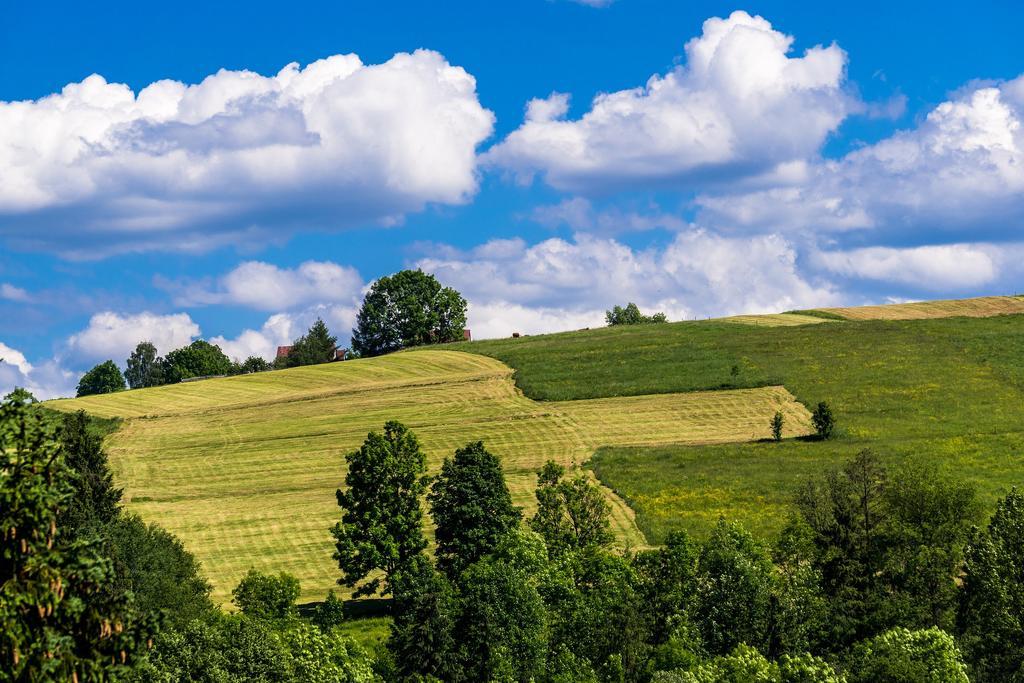 Chata Na Brzysku Pod Bialka Leśnica Buitenkant foto