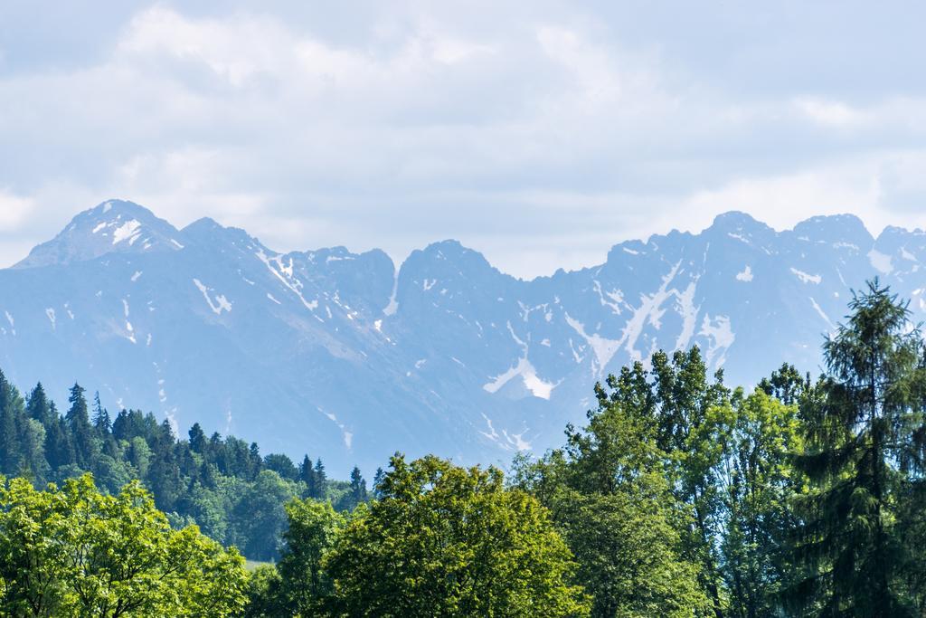 Chata Na Brzysku Pod Bialka Leśnica Buitenkant foto